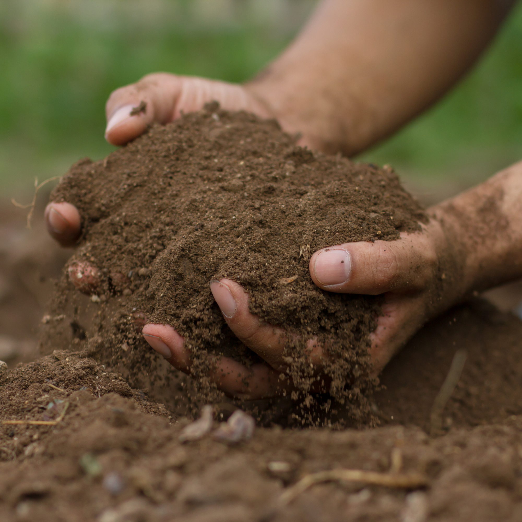 hands in soil 